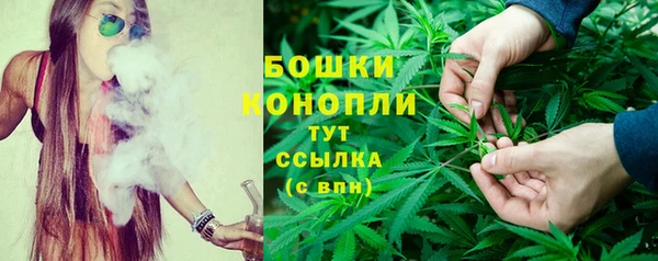 индика Струнино