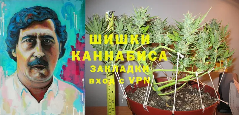 купить наркотик  Волчанск  Канабис SATIVA & INDICA 